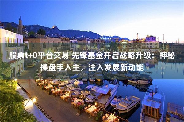 股票t+0平台交易 先锋基金开启战略升级：神秘操盘手入主，注入发展新动能