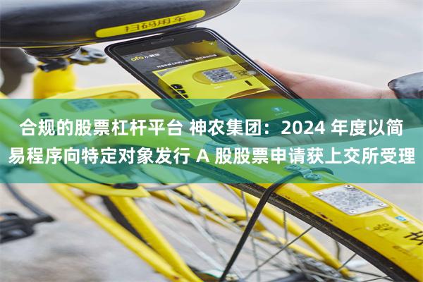 合规的股票杠杆平台 神农集团：2024 年度以简易程序向特定对象发行 A 股股票申请获上交所受理