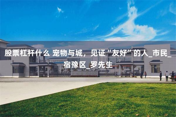 股票杠杆什么 宠物与城，见证“友好”的人_市民_宿豫区_罗先生