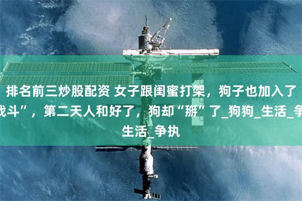 排名前三炒股配资 女子跟闺蜜打架，狗子也加入了“战斗”，第二天人和好了，狗却“掰”了_狗狗_生活_争执