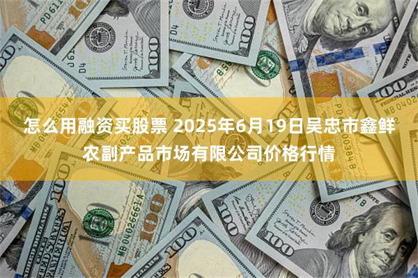 怎么用融资买股票 2025年6月19日吴忠市鑫鲜农副产品市场有限公司价格行情