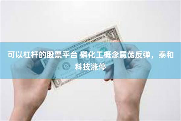 可以杠杆的股票平台 磷化工概念震荡反弹，泰和科技涨停