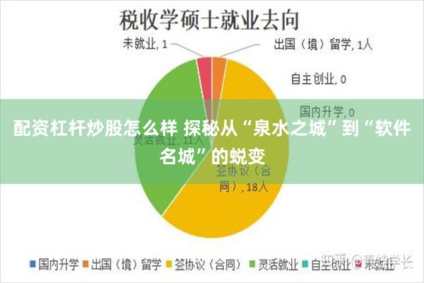 配资杠杆炒股怎么样 探秘从“泉水之城”到“软件名城”的蜕变