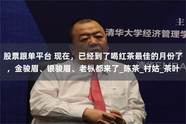 股票跟单平台 现在，已经到了喝红茶最佳的月份了，金骏眉、银骏眉、老枞都来了_陈茶_村姑_茶叶