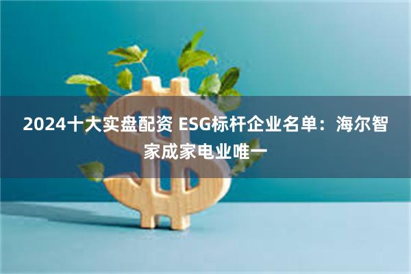 2024十大实盘配资 ESG标杆企业名单：海尔智家成家电业唯一