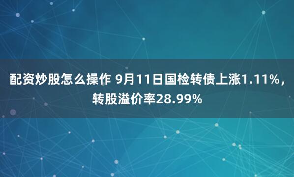 配资炒股怎么操作 9月11日国检转债上涨1.11%，转股溢价率28.99%