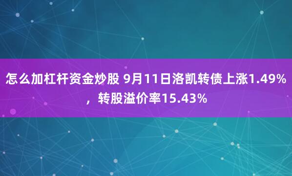 怎么加杠杆资金炒股 9月11日洛凯转债上涨1.49%，转股溢价率15.43%