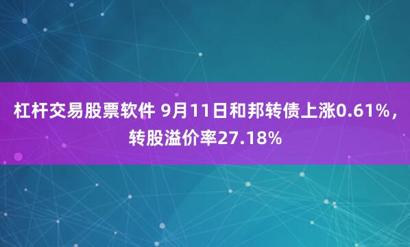 杠杆交易股票软件 9月11日和邦转债上涨0.61%，转股溢价率27.18%