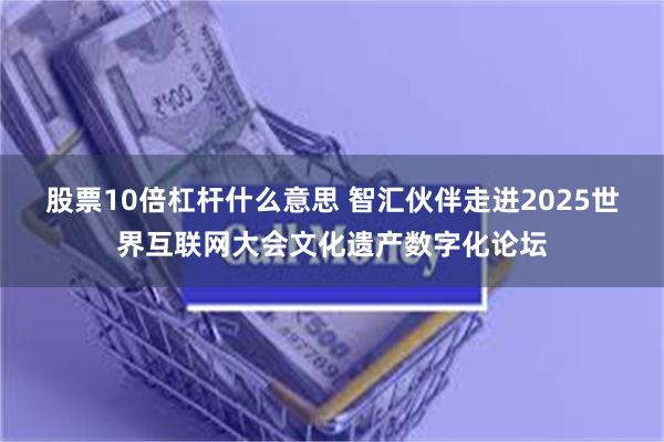 股票10倍杠杆什么意思 智汇伙伴走进2025世界互联网大会文化遗产数字化论坛