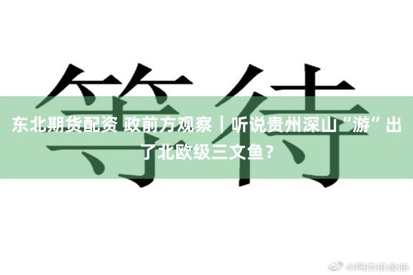 东北期货配资 政前方观察|听说贵州深山“游”出了北欧级三文鱼?