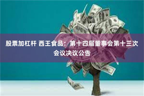 股票加杠杆 西王食品:第十四届董事会第十三次会议决议公告