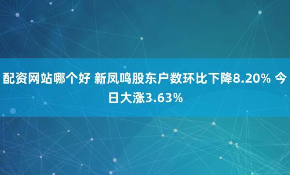 配资网站哪个好 新凤鸣股东户数环比下降8.20% 今日大涨3.63%